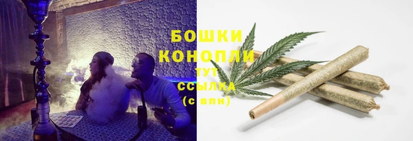 соль ск Краснослободск