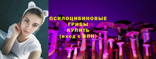 2c-b Краснотурьинск