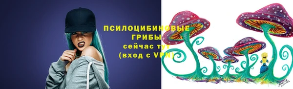 винт Алексеевка
