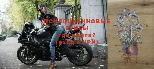 дмт Алзамай