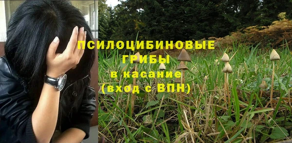 винт Алексеевка