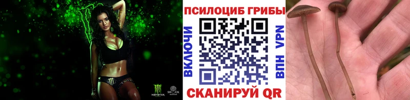 Псилоцибиновые грибы мухоморы  Старый Оскол 